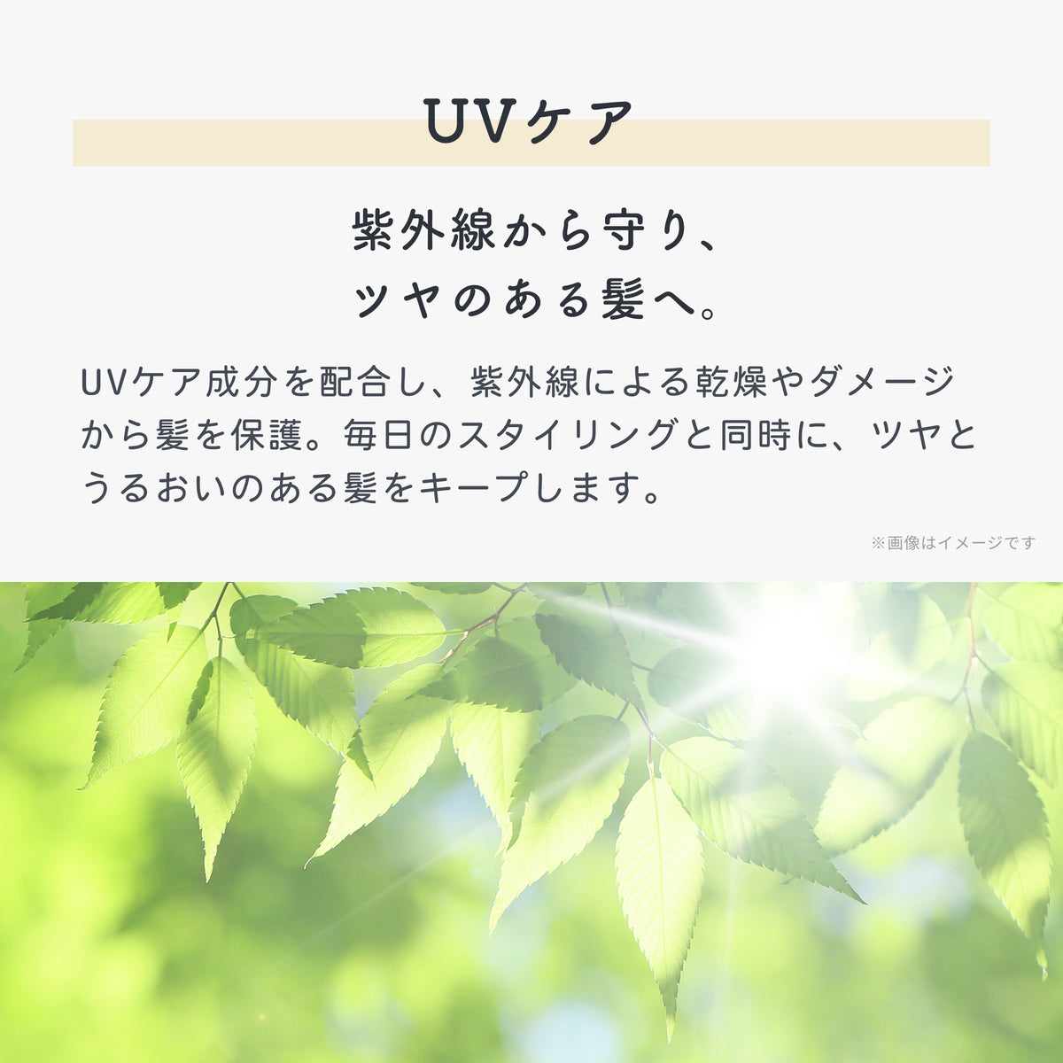 UEVO-IMAGE-REPLACE-20260813155609-008-07