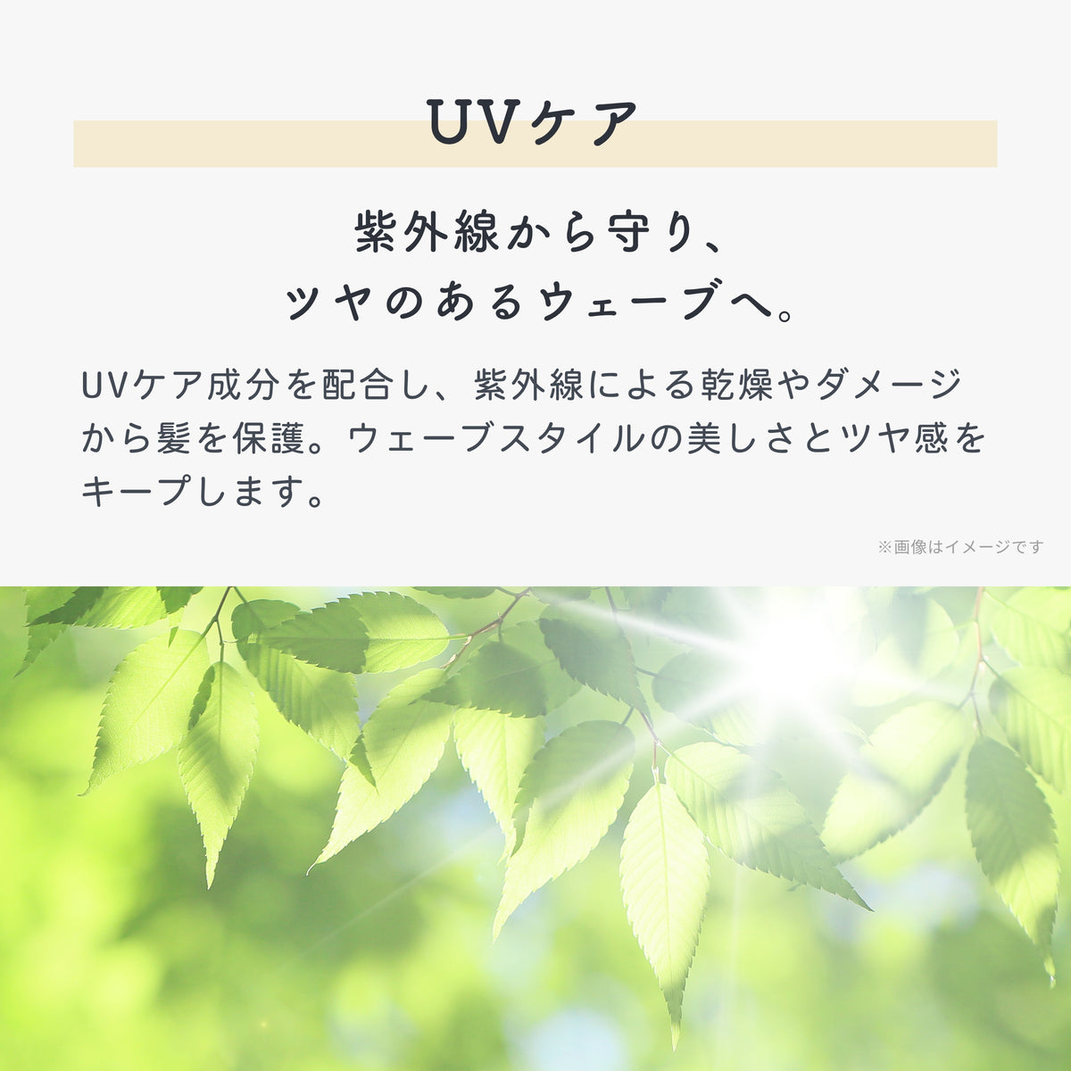 UEVO-IMAGE-REPLACE-20260813155609-010-07